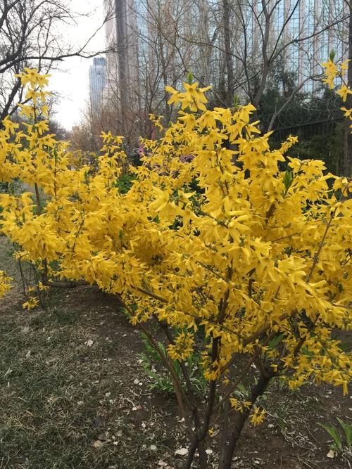 天气预报海淀区？天气预报海淀区温泉镇？-第8张图片-优品飞百科