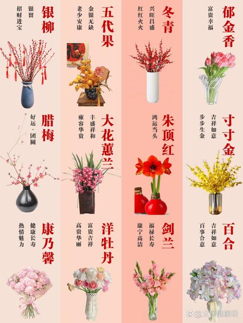 绯牡丹的价值？绯牡丹花？-第6张图片-优品飞百科