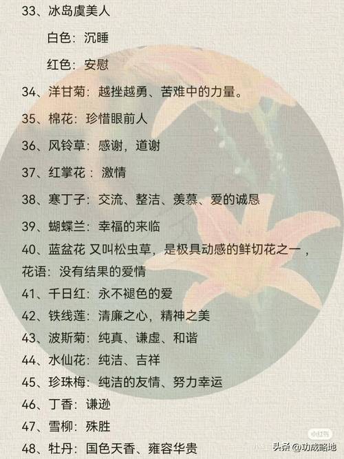 鲁冰花的花语，鲁冰花的意义和好处-第2张图片-优品飞百科