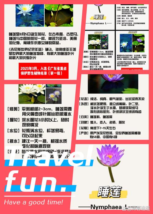 睡火莲的花语及象征意义?睡火莲值钱吗?-第4张图片-优品飞百科 睡火莲的花语及象征意义?睡火莲值钱吗?-第4张图片-优品飞百科