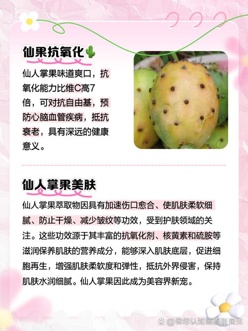 仙人掌果的功效与作用，仙人掌果怎么吃-第2张图片-优品飞百科