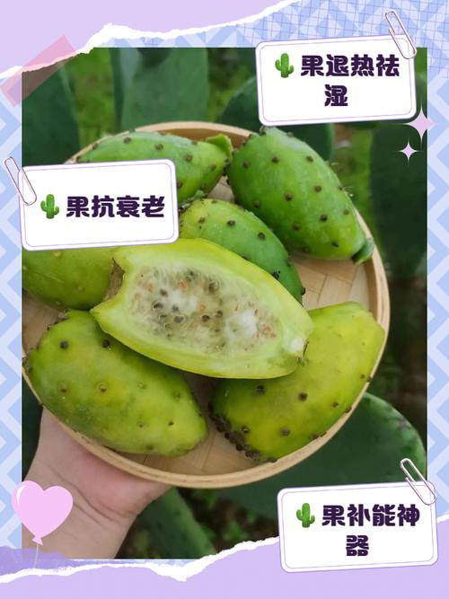 仙人掌果的功效与作用，仙人掌果怎么吃-第6张图片-优品飞百科