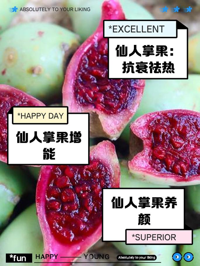 仙人掌果的功效与作用，仙人掌果怎么吃-第7张图片-优品飞百科