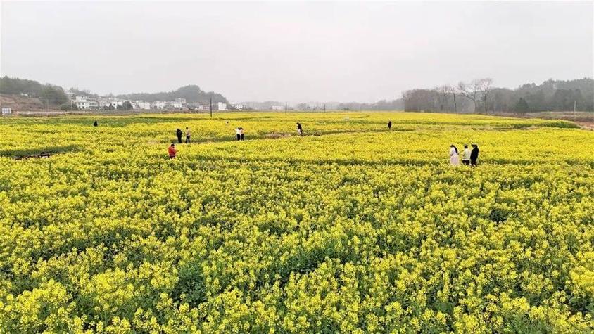 咸安区天气预报，咸安区天气预报30天-第2张图片-优品飞百科