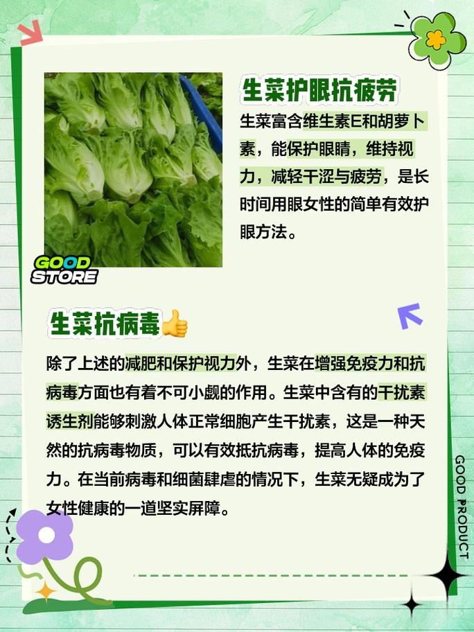 吃生菜可以减肥吗，孕妇能吃生菜吗，孕妇吃生菜对胎儿有影响吗？-第1张图片-优品飞百科