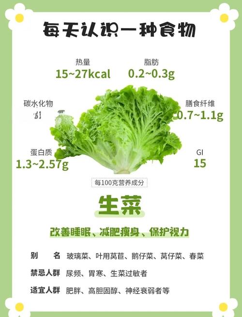 吃生菜可以减肥吗，孕妇能吃生菜吗，孕妇吃生菜对胎儿有影响吗？-第3张图片-优品飞百科