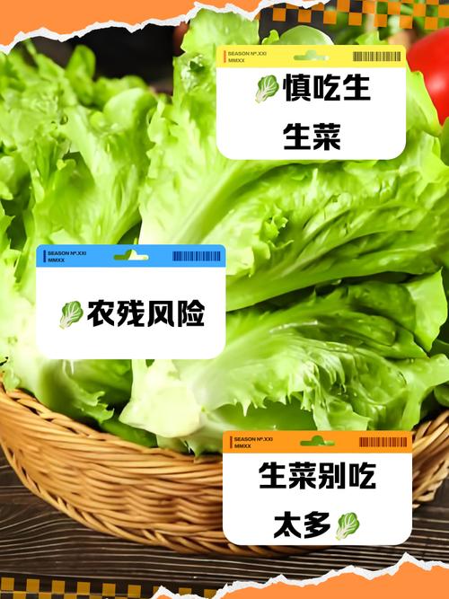 吃生菜可以减肥吗，孕妇能吃生菜吗，孕妇吃生菜对胎儿有影响吗？-第6张图片-优品飞百科