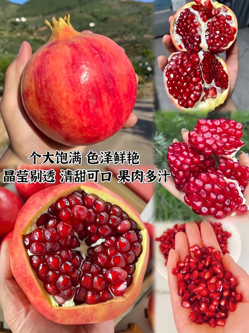 软籽石榴的籽可以吃吗，软籽石榴的籽可以吃吗有什么功效-第5张图片-优品飞百科