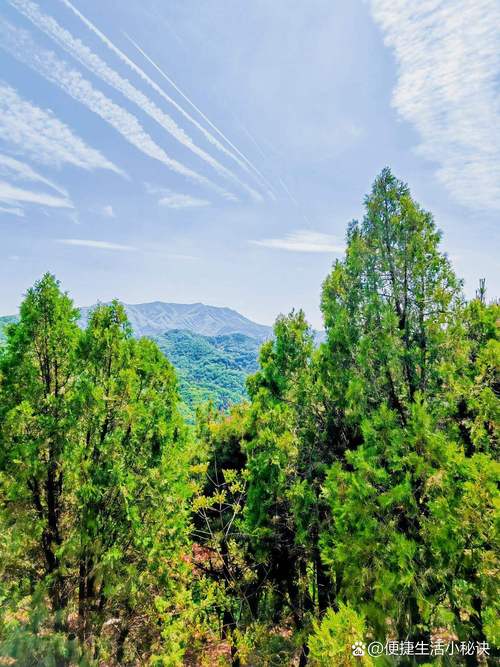 陕州区天气预报，陕州区天气预报一周7天-第1张图片-优品飞百科