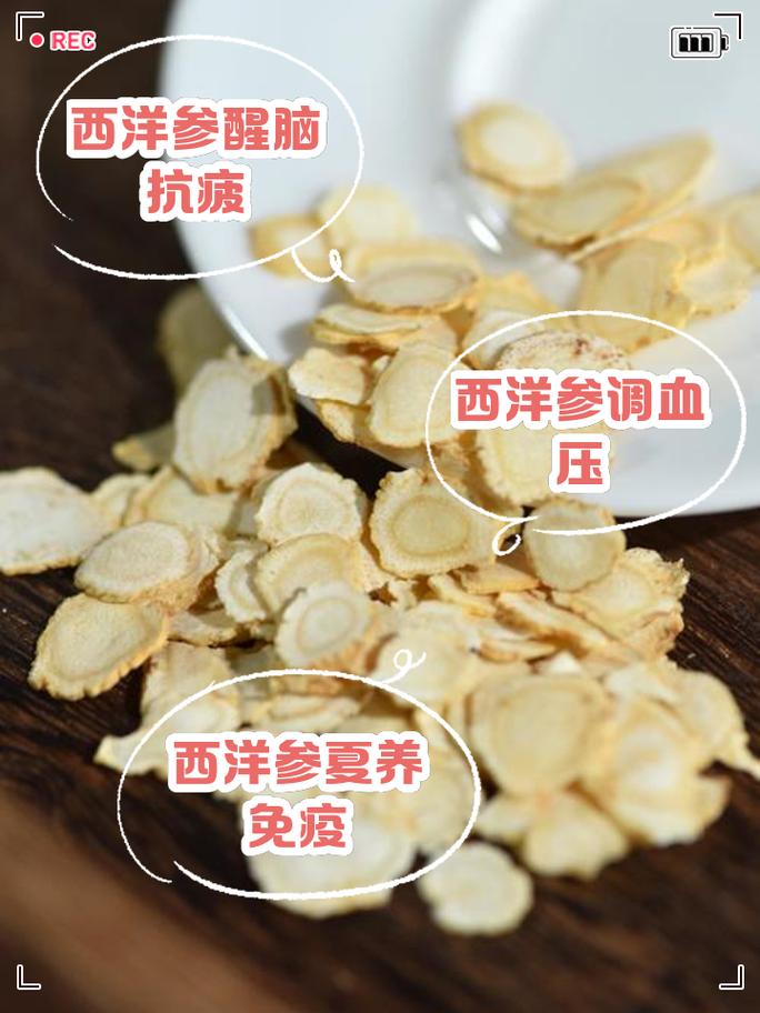 西洋参的功效与作用？西洋参的功效与作用和适用人群？-第1张图片-优品飞百科