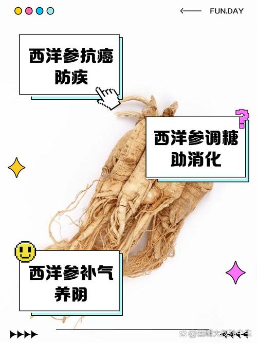 西洋参的功效与作用？西洋参的功效与作用和适用人群？-第3张图片-优品飞百科