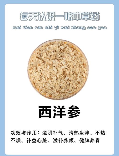 西洋参的功效与作用？西洋参的功效与作用和适用人群？-第6张图片-优品飞百科