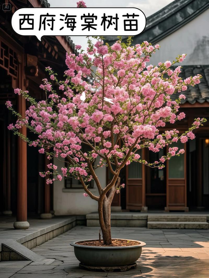 西府海棠费用，西府海棠图片？西府海棠百度百科？-第8张图片-优品飞百科