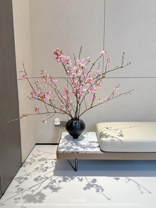 最旺入门玄关植物,最旺入门玄关植物种类-第2张图片-优品飞百科 最旺入门玄关植物,最旺入门玄关植物种类-第2张图片-优品飞百科