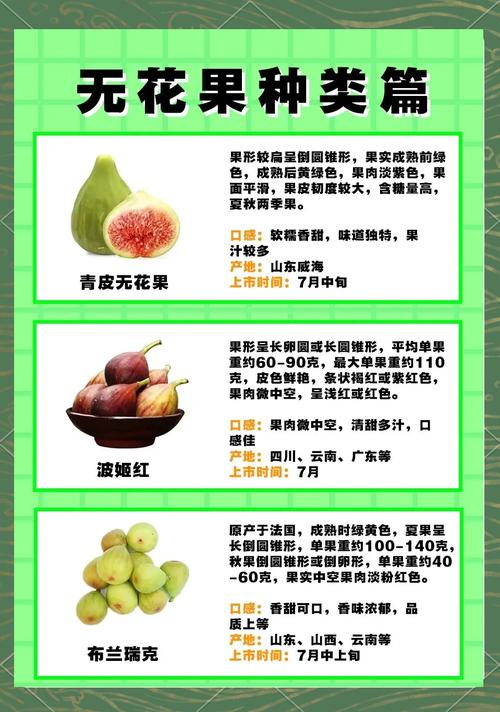 无花果的功效与作用,无花果的功效与作用对女人的好处?-第1张图片-优品飞百科 无花果的功效与作用,无花果的功效与作用对女人的好处?-第1张图片-优品飞百科