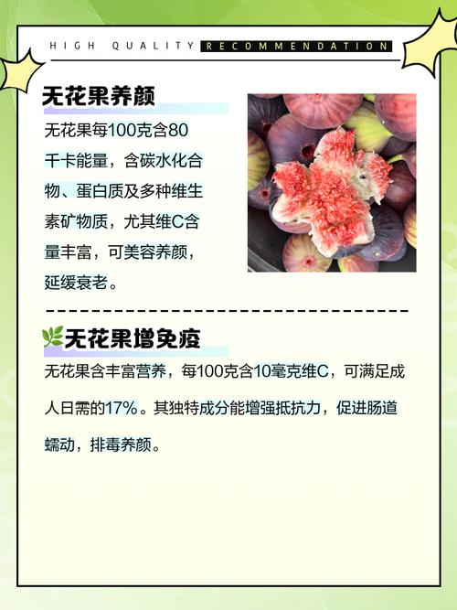 无花果的功效与作用,无花果的功效与作用对女人的好处?-第2张图片-优品飞百科 无花果的功效与作用,无花果的功效与作用对女人的好处?-第2张图片-优品飞百科