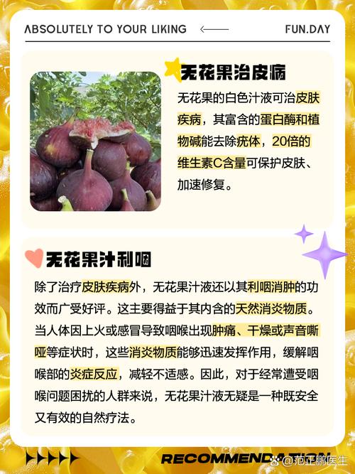 无花果的功效与作用,无花果的功效与作用对女人的好处?-第4张图片-优品飞百科 无花果的功效与作用,无花果的功效与作用对女人的好处?-第4张图片-优品飞百科