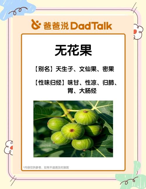 无花果的功效与作用,无花果的功效与作用对女人的好处?-第6张图片-优品飞百科 无花果的功效与作用,无花果的功效与作用对女人的好处?-第6张图片-优品飞百科