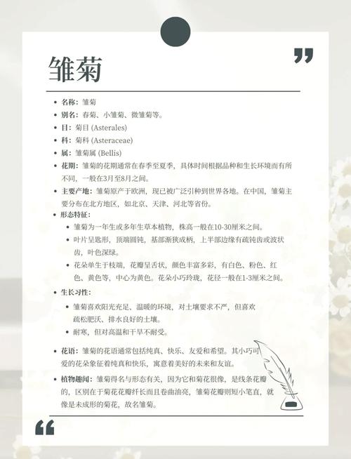 雏菊是什么意思，是送给死去的人吗？雏菊是指？-第3张图片-优品飞百科