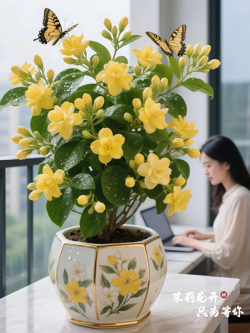 室内盆栽最香的花，室内盆栽最香的花排名？-第3张图片-优品飞百科