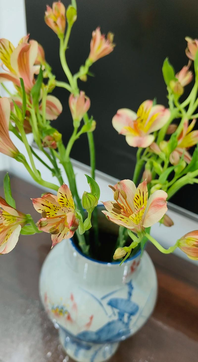 水仙百合的花语，花期多长时间，水仙百合的花期有多长-第2张图片-优品飞百科