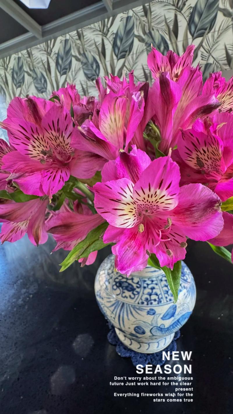 水仙百合的花语，花期多长时间，水仙百合的花期有多长-第3张图片-优品飞百科