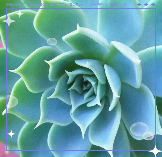 厚脸皮植物有毒吗，能放在卧室吗，厚脸皮植物有什么用处-第5张图片-优品飞百科