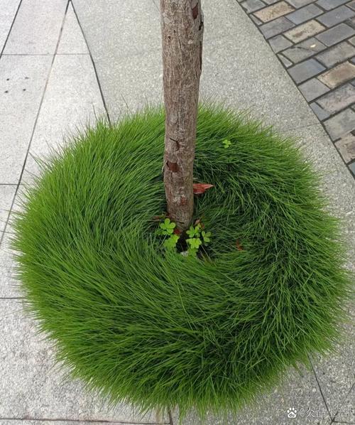 逆境中生长顽强植物？逆境中生存的植物？-第2张图片-优品飞百科