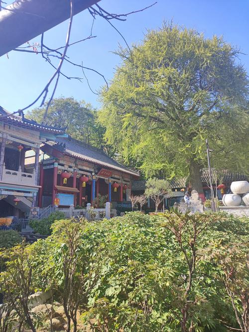 黑山天气预报15天,黑山天气预报15天查询-第4张图片-优品飞百科 黑山天气预报15天,黑山天气预报15天查询-第4张图片-优品飞百科