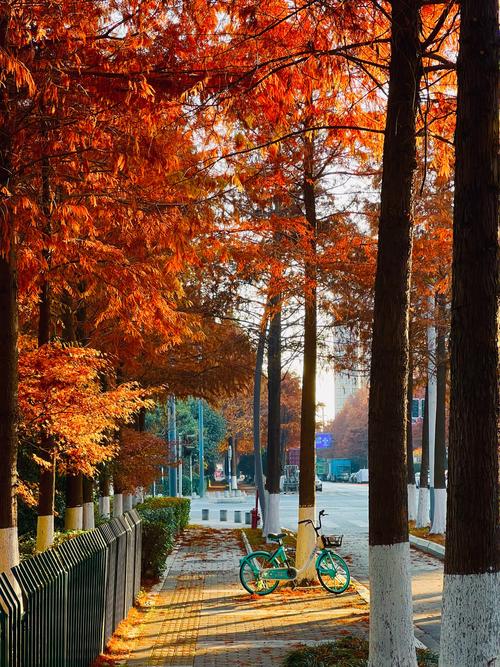 南京雨花台天气预报？南京雨花台天气预报24小时？-第1张图片-优品飞百科