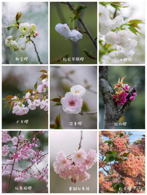 南京雨花台天气预报？南京雨花台天气预报24小时？-第3张图片-优品飞百科