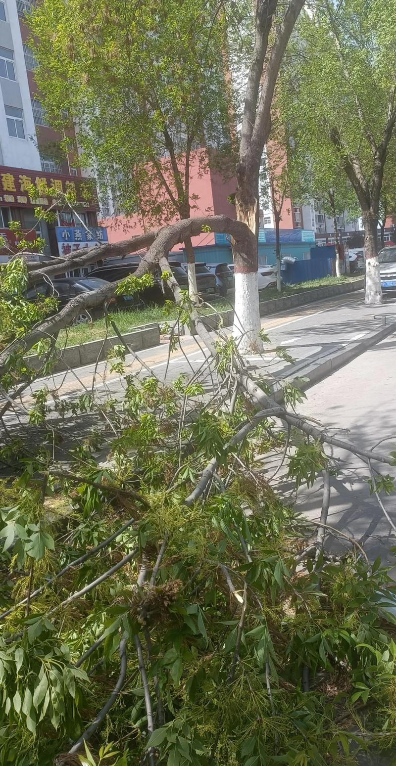 聊城逐小时天气预报?聊城24小时天气预报 实时?-第6张图片-优品飞百科 聊城逐小时天气预报?聊城24小时天气预报 实时?-第6张图片-优品飞百科