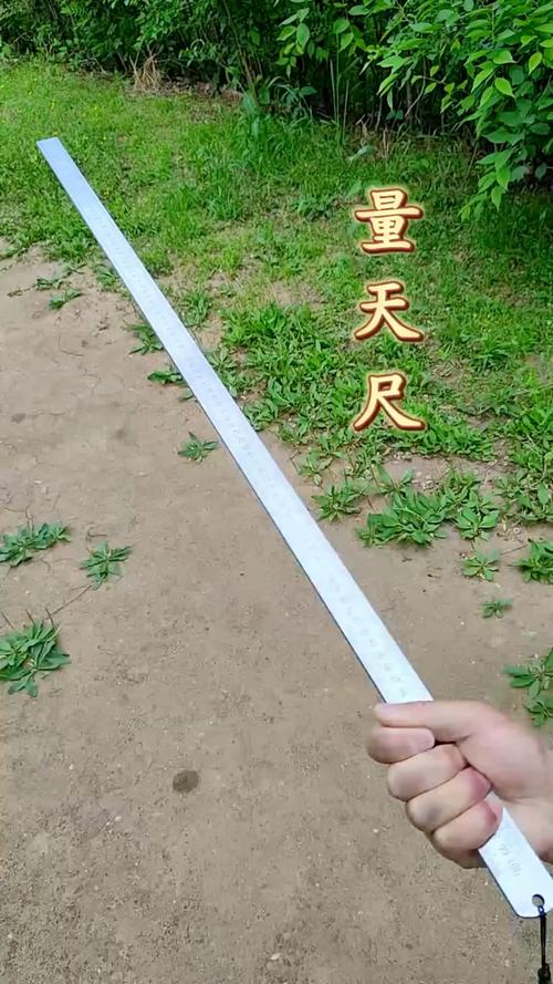 量天尺有毒吗，能不能家养，量天尺好养吗?-第2张图片-优品飞百科