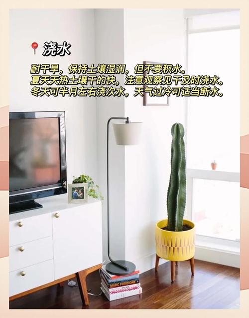 量天尺有毒吗，能不能家养，量天尺好养吗?-第4张图片-优品飞百科