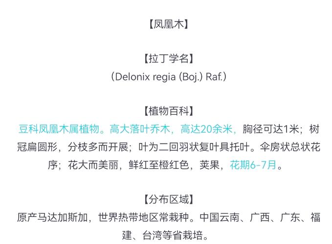 凤凰木的传说？凤凰木的故事？-第3张图片-优品飞百科