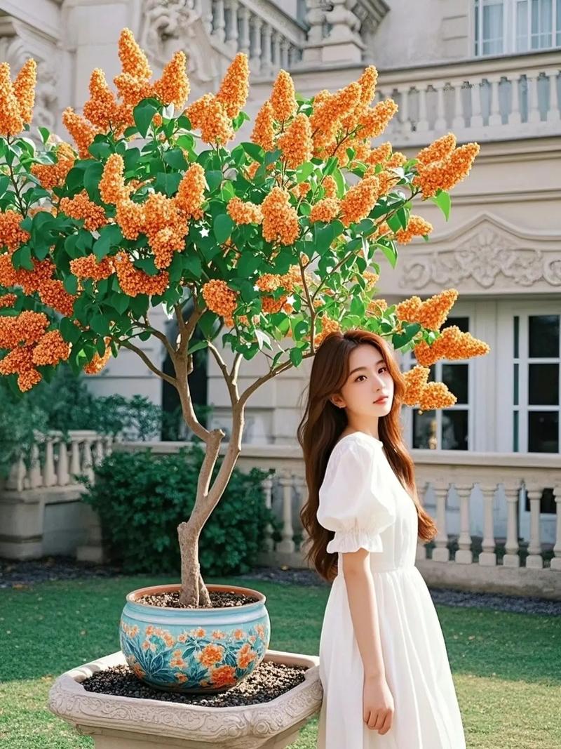 丁香花繁殖方法有哪些，丁香花好养吗？丁香苗木如何繁殖？-第6张图片-优品飞百科