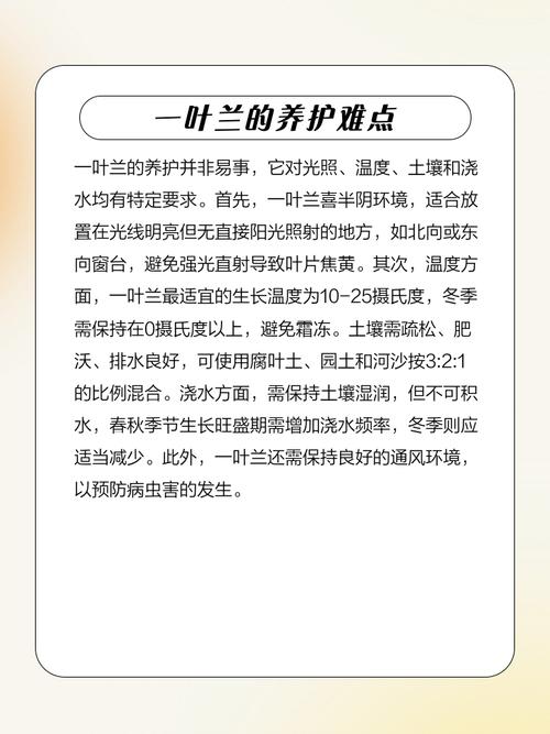 一叶兰对人体有害吗？一叶兰是否有毒？-第1张图片-优品飞百科