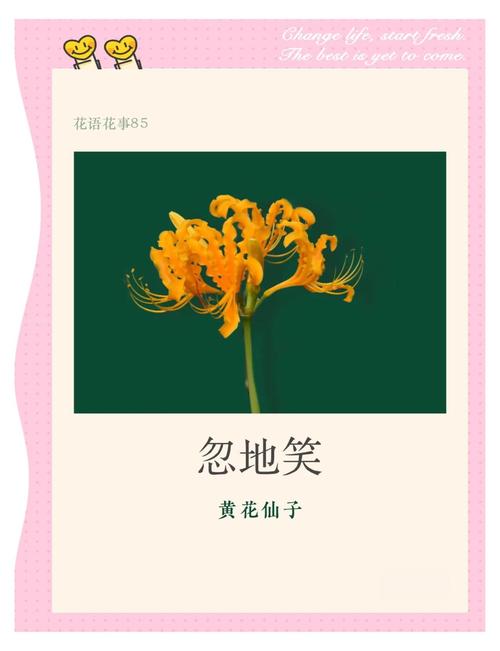 忽地笑的主要作用和用途，忽地笑值钱吗？-第3张图片-优品飞百科