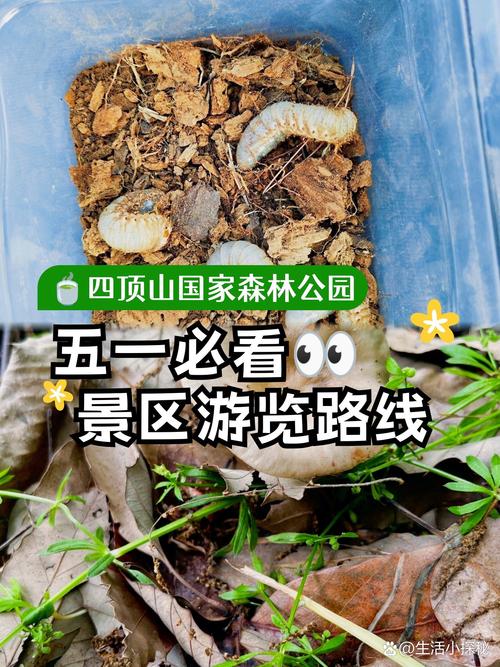 潘集区天气预报，安徽淮南潘集区天气预报？-第2张图片-优品飞百科