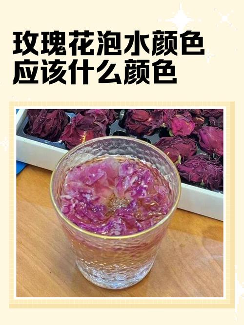 玫瑰花如何泡水喝，如何喝才好，玫瑰花泡水喝的方法-第5张图片-优品飞百科