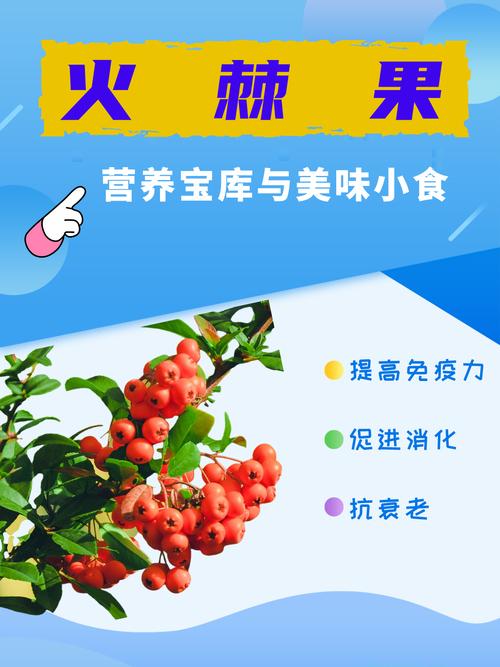 火棘的食用药用作用，火棘功效和食用方法？-第5张图片-优品飞百科