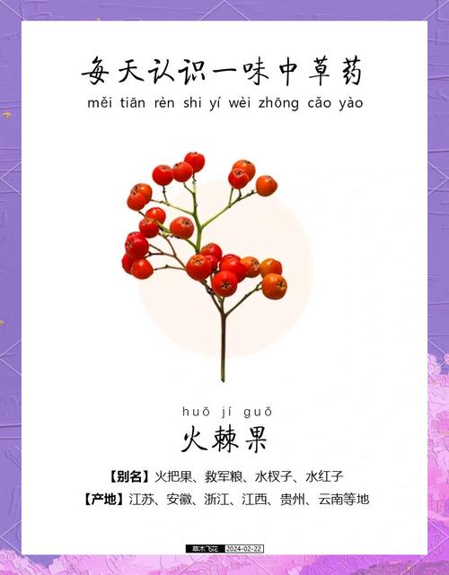 火棘的食用药用作用，火棘功效和食用方法？-第7张图片-优品飞百科