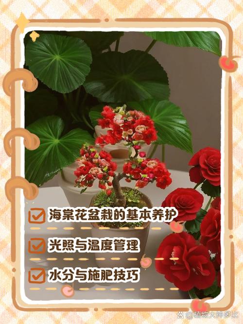 海棠换盆需要修根吗，换盆注意什么，海棠换盆需要修根吗,换盆注意什么事项？-第4张图片-优品飞百科