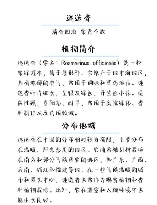 迷迭香的花语和传说，迷迭香的花语及代表意义-第3张图片-优品飞百科