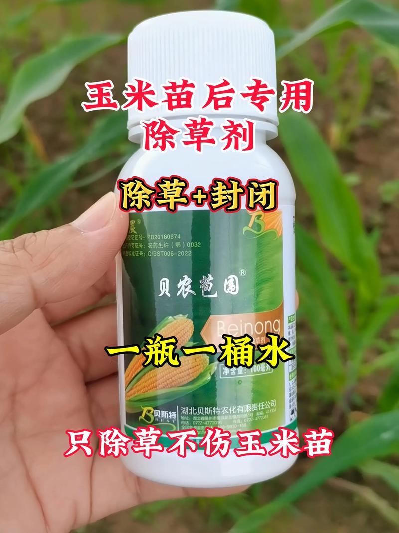 苣荬菜的养殖方法？苣荬菜的种植方法？-第2张图片-优品飞百科