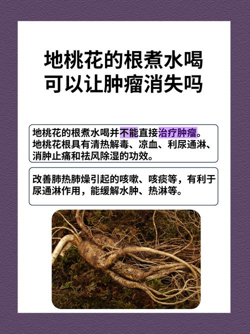 地桃花的功效与作用，地桃花的功效与作用主治-第3张图片-优品飞百科