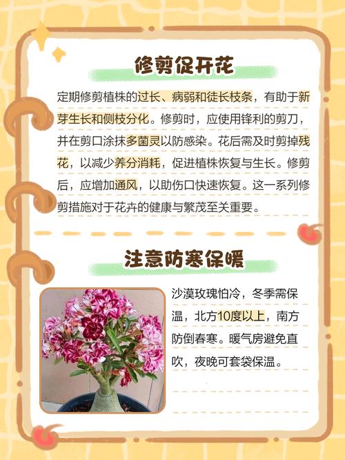 沙漠玫瑰有毒吗，沙漠玫瑰有毒吗家里能养吗-第1张图片-优品飞百科