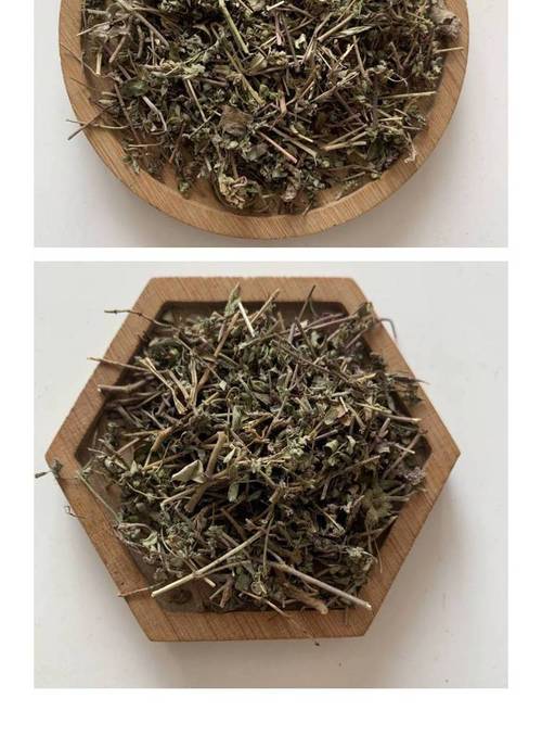 怎么也想不到，千根草有这么多作用！，千根草草药图片-第6张图片-优品飞百科