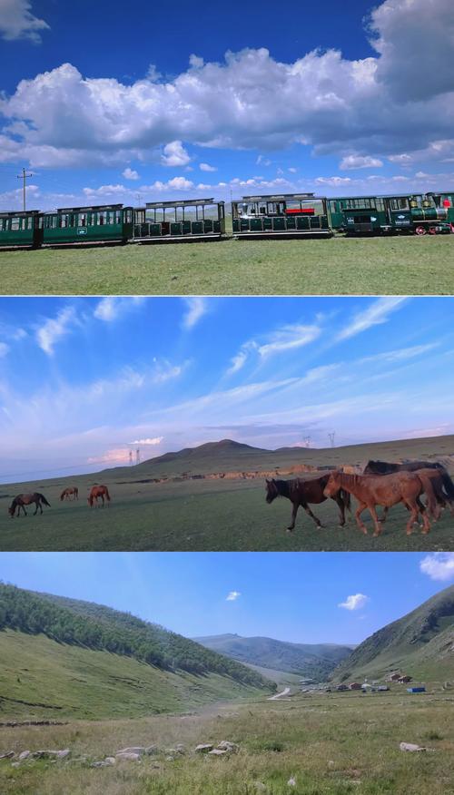 黄花沟天气预报，内蒙古黄花沟天气预报-第7张图片-优品飞百科