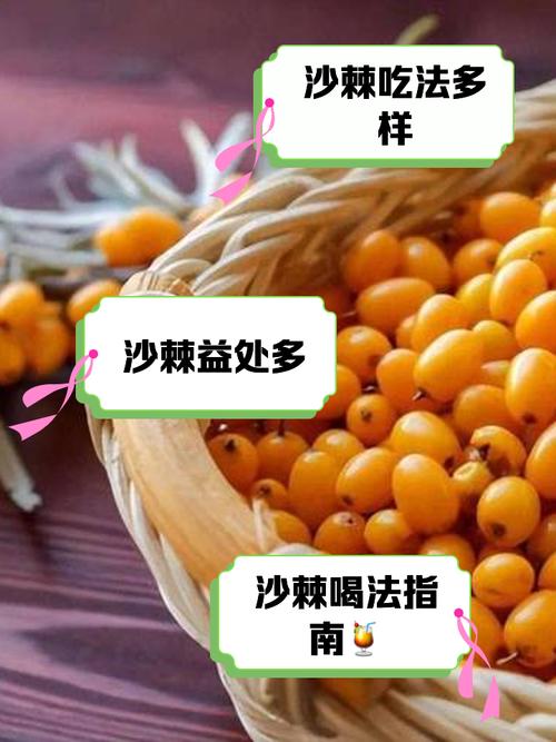 沙棘茶的功效与作用，沙棘果汁的功效与作用？沙棘果茶的功效与禁忌？-第3张图片-优品飞百科